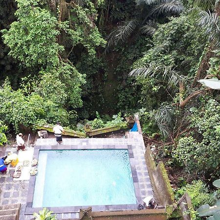 Anggrek Mas Bed & Breakfast Vandrarhem Ubud Exteriör bild