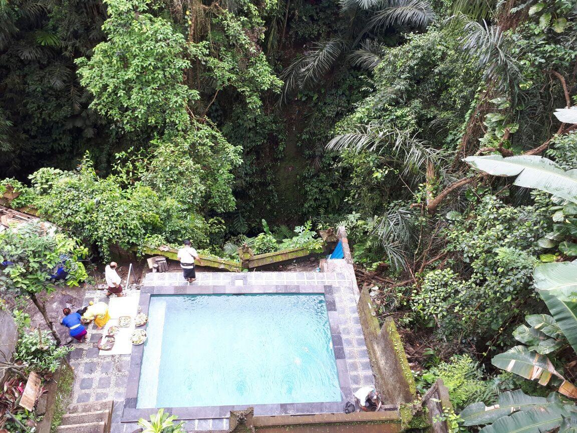 Anggrek Mas Bed & Breakfast Vandrarhem Ubud Exteriör bild