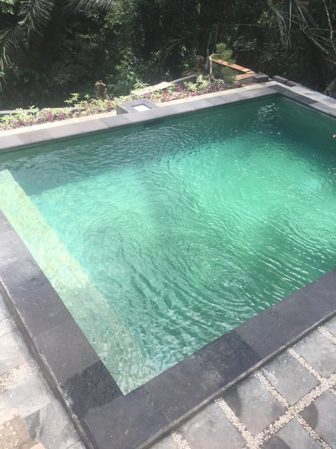 Anggrek Mas Bed & Breakfast Vandrarhem Ubud Exteriör bild